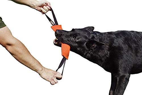 Dingo Gear Baumwolle-Nylon Beißwurst für Hundetraining K9 IGP IPO Obiedence Schutzhund Hundesport, mit Zwei Griffen 7 x 28 cm Orange S00083