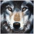 Crystal Art Kit auf Holzrahmen-Leinwand - Wolf, 30 x 30 cm mehrfarbig