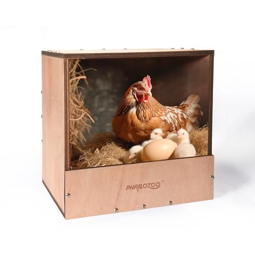 Phailozoo Hühner-Nistkasten, Einzelfach, Nistkästen aus Holz für Hühnerstall, Hühner-Nistkästen zum Legen von Eiern für Hühner, Hühner, Enten, Hühnerstall-Zubehör (1 Stück)