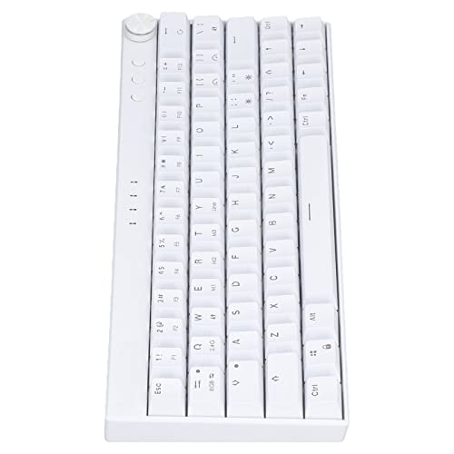 Mechanische Tastatur, Ergonomische RGB-Tastatur mit 64 Tasten, Kabellose 2,4-G/-/Typ-c-Schreibmaschine mit Knopf, für für für OS X, Plus-Version, Weiß (Blauer Schalter)