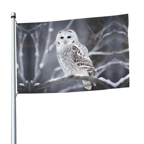 Winter-Flagge mit Eulenmotiv, 1,5 x 2,4 m, Banner mit 2 Ösen, Außendekorationen, HD-Druck, 200D, strapazierfähiges Polyester, Banner für Urlaub, Hof, große Flaggen für Innen- und Außendekoration