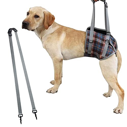 SaiDeng Haustier-Hunde-Bein-Stützschlinge, verstellbar, einziehbar, atmungsaktiv, für ältere Hunde, verletzte Hunde, Verletzungen am hinteren Bein, Arthritis und Behinderungen, blau kariert, S