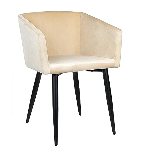 colourliving Esszimmer Stuhl gepolstert Armlehnstuhl beige Samt Stuhl beige Polsterstuhl beige Esszimmer Stühle