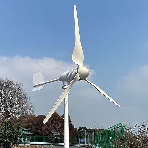 3000W Windkraftanlage 48V horizontaler Windgenerator mit Hybrid MPPT Laderegler Windturbine für Home Windmühle (Nur Windkraftanlage)