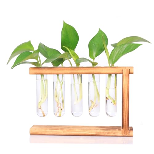 Bettstation Desktop Plant Propagation Station Retro Plant Terrarium with Wooden Stand Reagenzglas Container Perfekt für Vermehrung Hydrokultur Pflanzen Home Office Decor Pflanzenliebhaber Geschenkidee