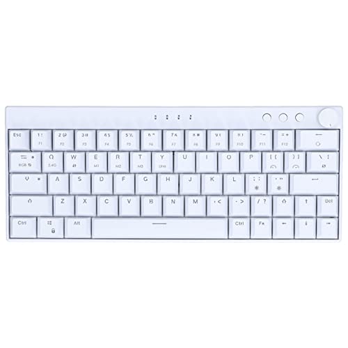Mechanische Tastatur, Ergonomische RGB-Tastatur mit 64 Tasten, Kabellose 2,4-G/-/Typ-c-Schreibmaschine mit Knopf, für für für OS X, Plus-Version, Weiß (Roter Schalter)