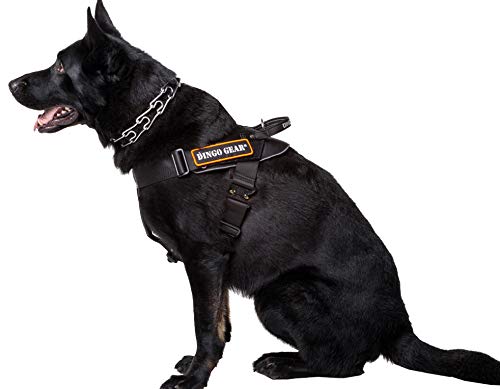 DINGO GEAR Multifunktions-Geschirr für Hunde in der Arbeit, Guard Dog Training, K9 und Ipo, Cobra System, handgefertigt, Schwarz S03195, M