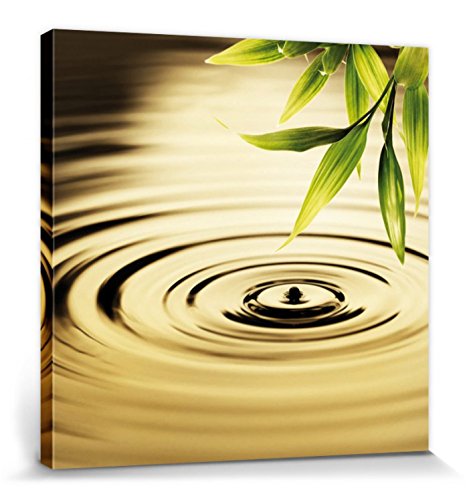 1art1 Wasser - Wasserkreise, EIN Tautropfen Fällt Von Bambusblättern Poster Leinwandbild Auf Keilrahmen 70 x 70 cm