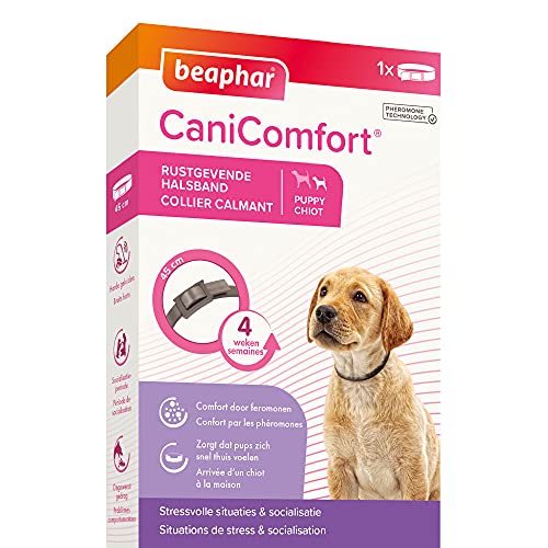 beaphar Canicomfort Hundehalsband, beruhigend, Pheromone, 45 cm