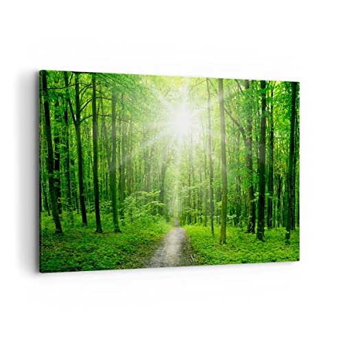 Bild auf Leinwand - Leinwandbild - Sonnenstrahlen Wald Sommer - 120x80cm - Wand Bild - Wanddeko - Leinwanddruck - Bilder - Kunstdruck - Wanddekoration - Leinwand bilder - Wandkunst - AA120x80-2689