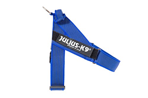 JULIUS-K9, 16IDC-0-B-2015, Color&Gray IDC-Gurtbandgeschirr, Größe 0, blau-grau