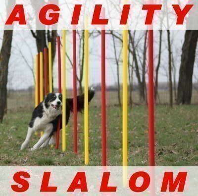 AGILITY-ÜBUNGS-SLALOM-SET ROT/GELB FLEXIBLE,RUNDE STANGEN