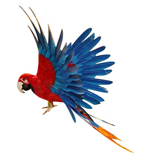 Realisierte Papagei Zaungast Zaundeko Baumdeko der Hingucker für Innen/Außen Deko - 15,7 Zoll Rot und Blau