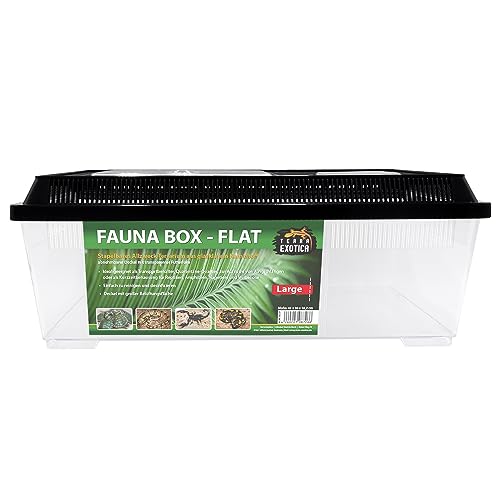 Fauna Box High & Flat (Flat, Large)