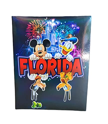 Disney Mickey Mouse Gang Fireworks 'Florida' 200 Bilder Fotoalbum