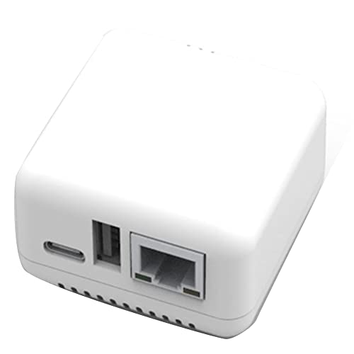 Pyatofly Druckserver USB 2.0 Netzwerk Mini NP330 (Netzwerkversion)