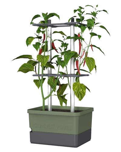 Charly Chili - Chilitopf - 4,5 L Wassertank mit Bewässerungssystem - stabile, Innovative Rankhilfe - 10 L Erdvolumen - für Chili, Paprika, Auberginen - Pflanzgefäß Blumentopf Pflanzturm (dunkelgrün)