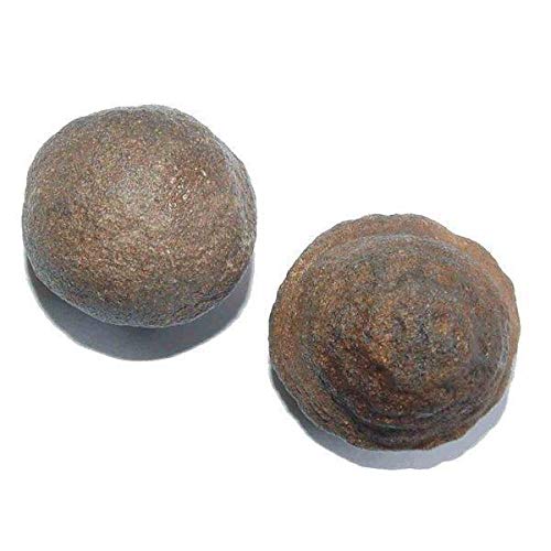 Moqui Marbles 36-45 mm lebende Steine aus den USA
