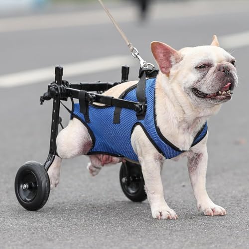 MegLob Behinderte Hundenkeln, Hilfsträger Für Ältere Hunde, Hilfskarren Für Hunde Mit Begrenzter Mobilität, Haustier -Hundetoller,M