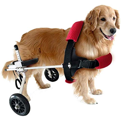 CLQ Hund Mobilitätsgeschirr, Hunde Kinderwagen, Hund Rollstuhl Hund Mobilität Geschirr Hintere Unterstützung Verstellbarer Wagen Haustier, Katze Hund Rollstuhl Hinterbein Rehabilitation Für Handi.