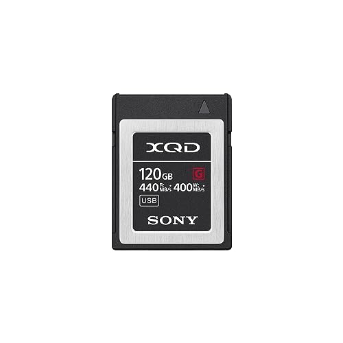 Sony QDG120F Flash-Speicherkarte (120 GB)