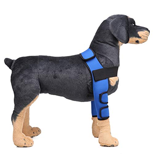 PETCUTE Hunde gelenkschutz Sprunggelenk Wrap Hunde Bandage Gelenkbandage für das Vorderbein ihres Hundes (1 Paar)