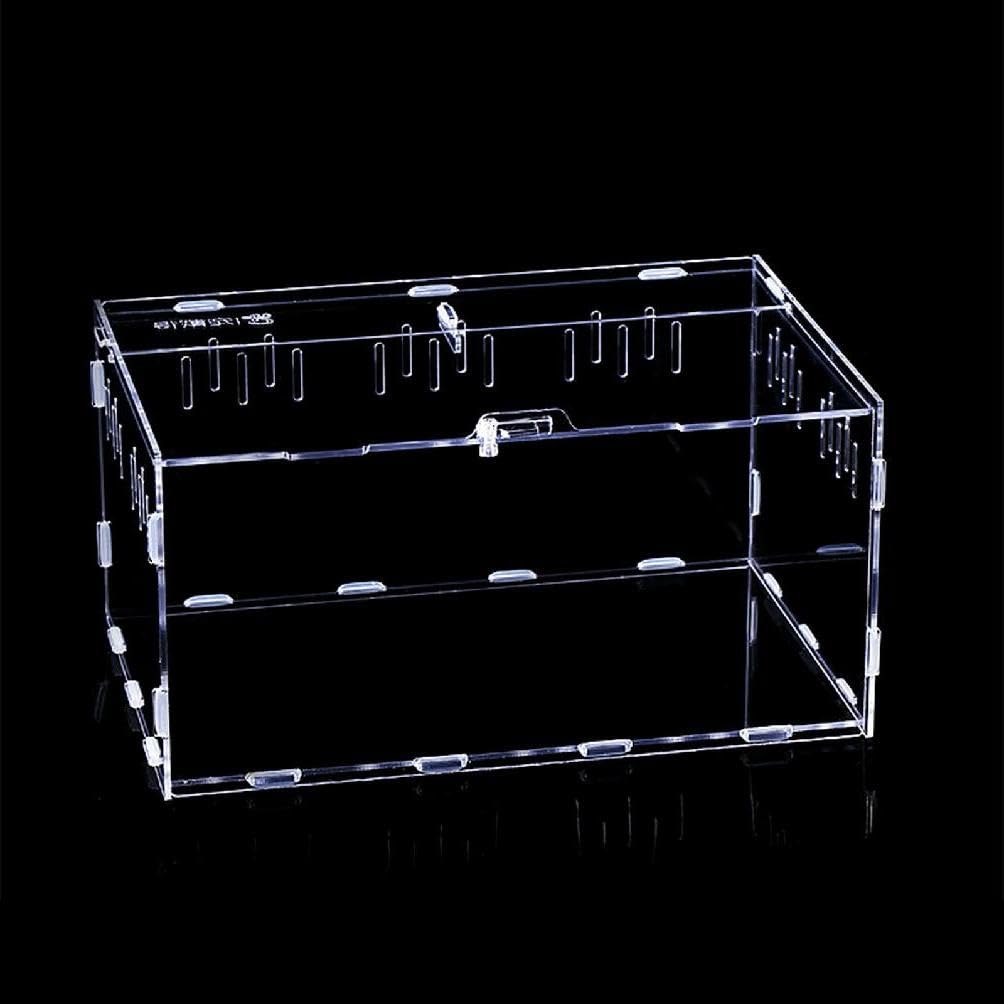 FOLODA Futterbox Transparent Behälter Acryl Terrarium Für Spinnen Kleine Schlange Reptilien Träger Einfach Zu Montieren Reptilien Futterbox Zuchtbox Acryl Großer Lebensraum Schlange Spinnen