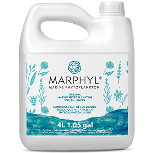 MARPHYL Meeresphytoplankton (Mikroalgen) flüssiger biologischer Naturdünger / Bodenverbesserungsmittel 4L / 1.05gal (3 Größen) / aus Vancouver Island, Kanada