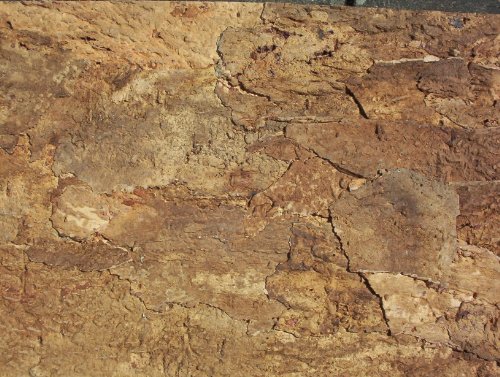 Korkrückwand innen Desert 90x60 cm, Terrarium, Kork Rückwand (92016), Dekor Hintergrund