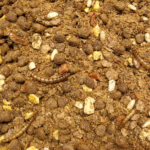 Supravit Igelfutter mit Insekten 5 kg - Speziell auf Igel abgestimmt mit Insekten, Mehlwürmer, Früchten & Gemüse - Hochwertiges Futter für Igel zum Überwintern
