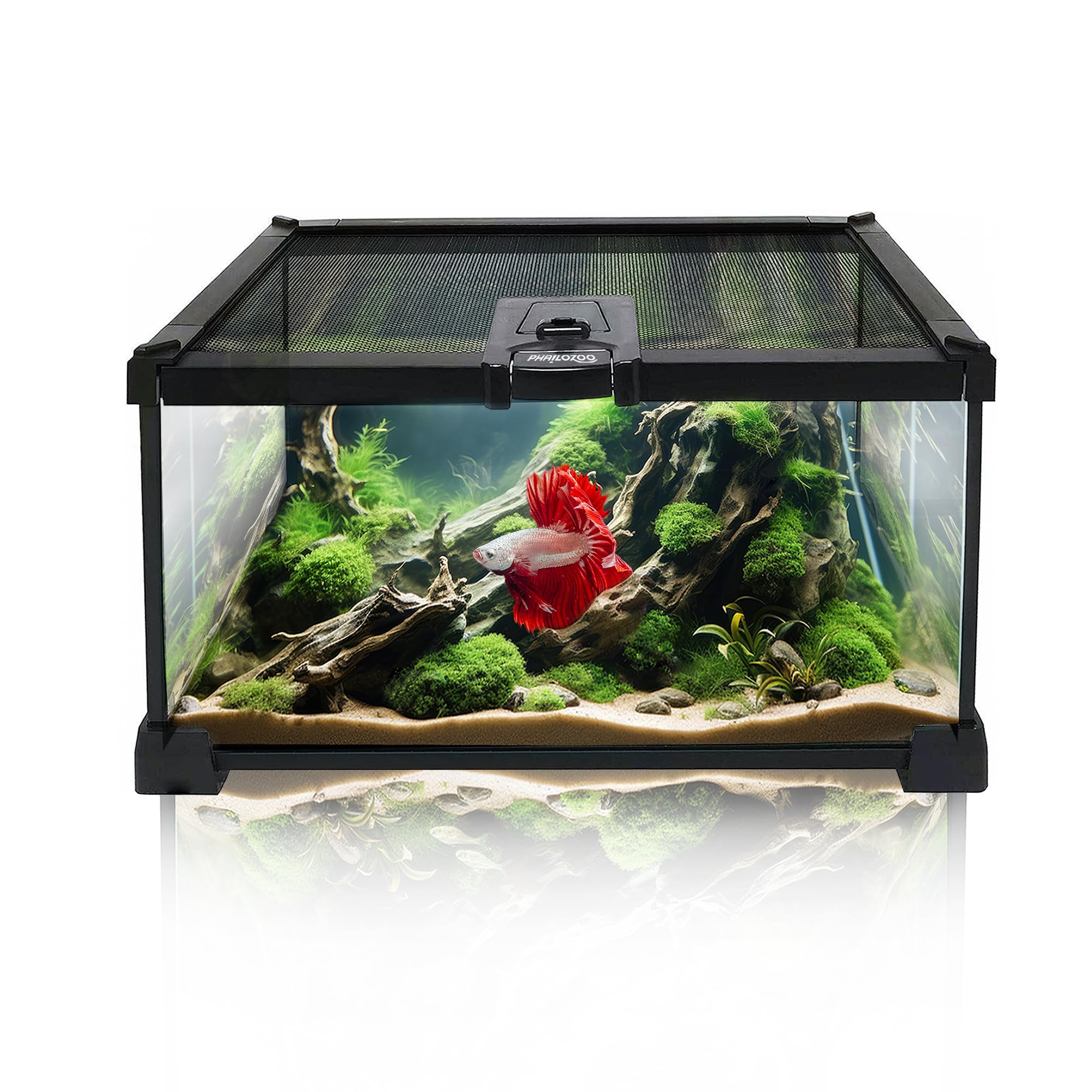 Phailozoo Mini Reptilien-Terrarium-Tank, Vollsicht, visuell ansprechender Mikro-Lebensraum, für kleine Baumbewohnung, Reptilien, Amphibien, Spinnen, Einsiedlerkrebs und andere Wirbellose, 20,1 x 20,1