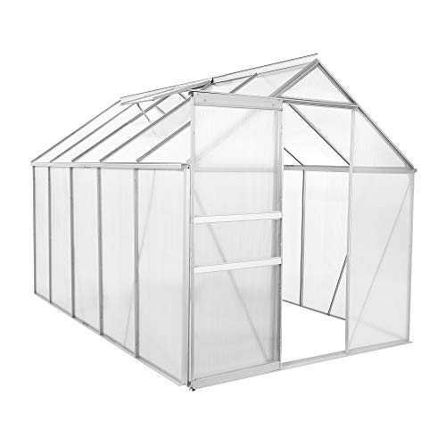 Zelsius Aluminium Gewächshaus für den Garten | 310 x 190 cm | 6 mm Platten | Vielseitig nutzbar als Treibhaus, Tomatenhaus, Frühbeet und Pflanzenhaus
