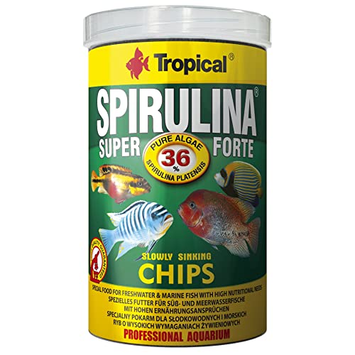 Tropical Super Spirulina Forte Chips mit 36% Spirulina (Platensis) Anteil, 1er Pack (1 x 1 l)