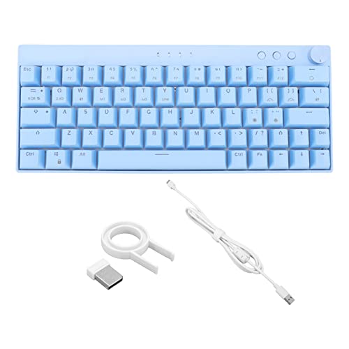 Kabellose Mechanische Gaming-Tastatur, Blau 64 Tasten Plus Kabellose RGB-Hintergrundbeleuchtung Mechanische Tastatur 3 Modi 2.4G/BT 3.0, 5.0/Type C Kabelgebundene Gaming-Tastatur mit(Roter Schalter)