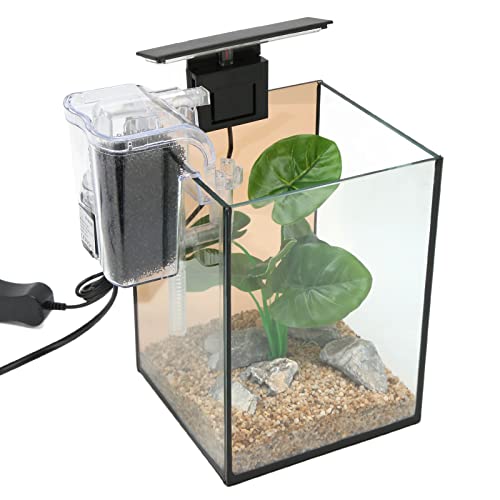 DAUZ Aquarium-Kit, Hochtransparentes Starter-Kit für Kleine Aquarien, Universelle Landschaftsgestaltung für die Desktop-Dekoration (EU-Stecker 220 V)