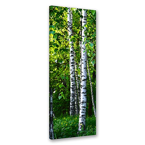 Feeby Leinwandbild Birken Bild Kunstdruck Natur Grün 50x150 cm