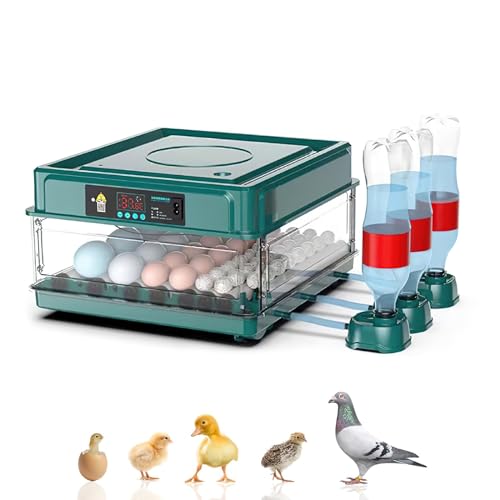 Brutautomat Vollautomatisch Brutmaschine Vollautomatisch Inkubator Hühner für 10-15 Eier, Brutkasten Hühner mit Automatischem Eierdrehen und Automatischer Wasserzugabe für Zucht von Hühnern (36 Eier)