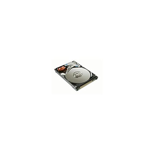 'MicroStorage 600 320 GB 2.5 IDE – Festplatten (IDE/ATA, Festplatte)
