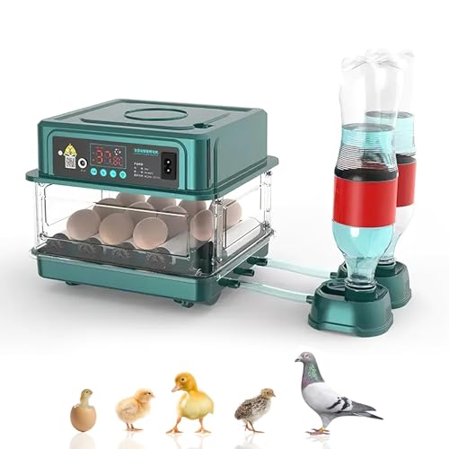 Brutautomat Vollautomatisch Brutmaschine Vollautomatisch Inkubator Hühner für 10-15 Eier, Brutkasten Hühner mit Automatischem Eierdrehen und Automatischer Wasserzugabe für Zucht von Hühnern (9 Eier)