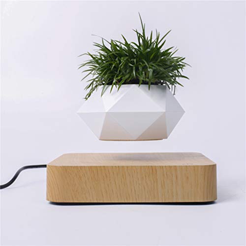 Kiko-ershaa Levitating Plant Pot Floating Air Bonsai Pot Suspension Blumentopf Pflanzgefäß für Schreibtischdekoration