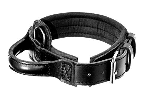 DINGO GEAR S04022 Halsband mit Griff, Leder, Größe XL, Schwarz