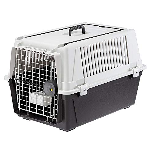 Ferplast 73011021 Transportbox für Hunde, Maße: 68 x 49 x 45,5 cm, grau
