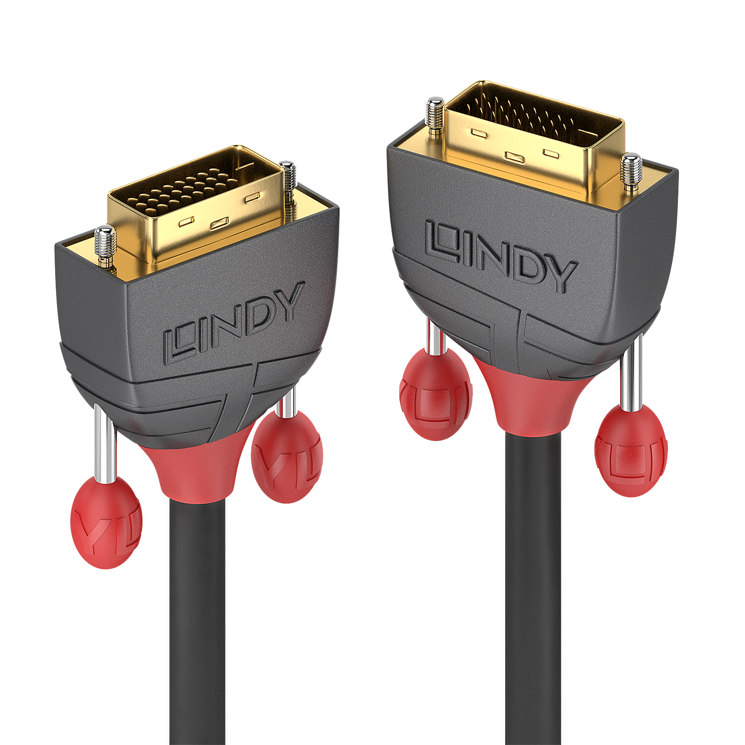 LINDY DVI Anschlusskabel [1x DVI-Stecker 24+1pol. - 1x DVI-Stecker 24+1pol.] 20 m Schwarz