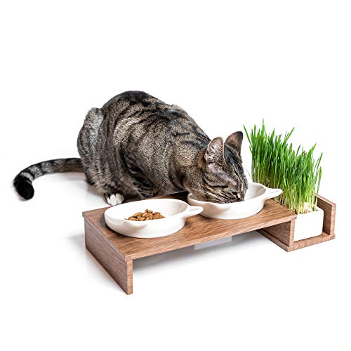 CanadianCat Company ® | Futterbar Cat Diner für Katzen mit dritter Schale für z.B. Katzengras o. Trockenfutter im Holzoptikständer Napf, Fressnapf, Futterschale