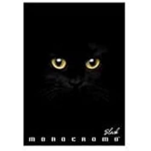 Pigna Maxi Notizbuch Monochrom Black 02303374M - Lineatur 4M - Packung mit 10 Notizbüchern