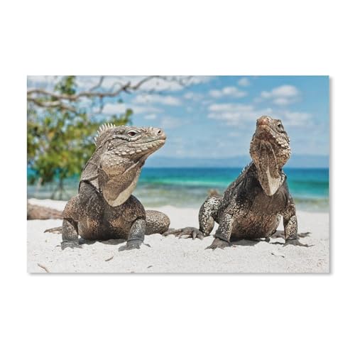 1000 Puzzles Für Erwachsene，Leguan am Strand，Freizeit Unterhaltung Kinder Spielzeug Zuhause Dekoration Art（50x70cm）-A390