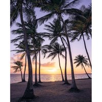 Vliestapete Palmtrees on Beach Komar naturalistisch