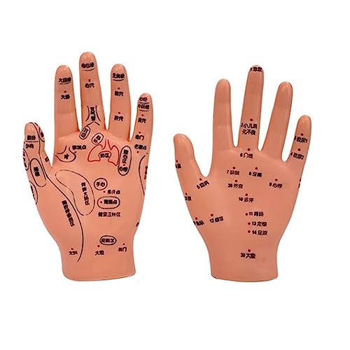 Ohr & Hand & Fuß Akupunkturpunkte Modell Chinesische Medizin Akupunkturmodell Handohr-Fußmassage Akupunktur Punktmodell