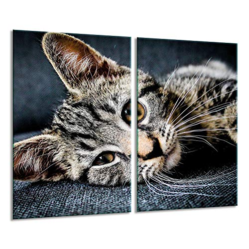 Herdabdeckplatten Ceranfeldabdeckung Spritzschutz Glas 2x30x52 Katze