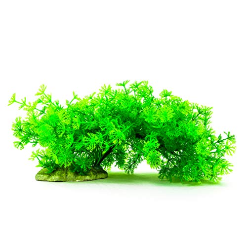 Aqua KT Aquariumdeko Kunststoff-Pflanze im Vordergrund, gewölbt, Grün